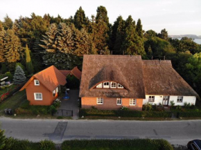 Fewo Torgau und Ferienhaus Boddenhus